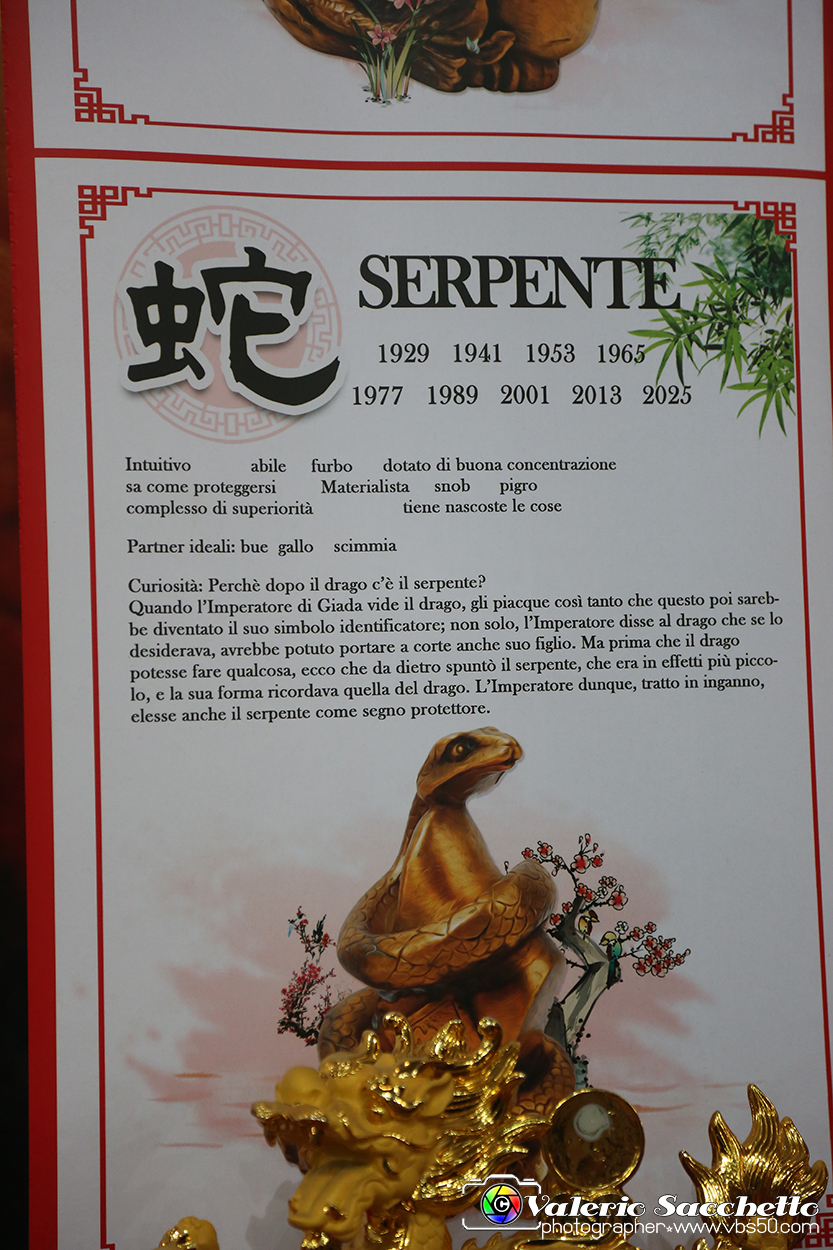 VBS_1219 - Festival dell'Oriente 2024.jpg